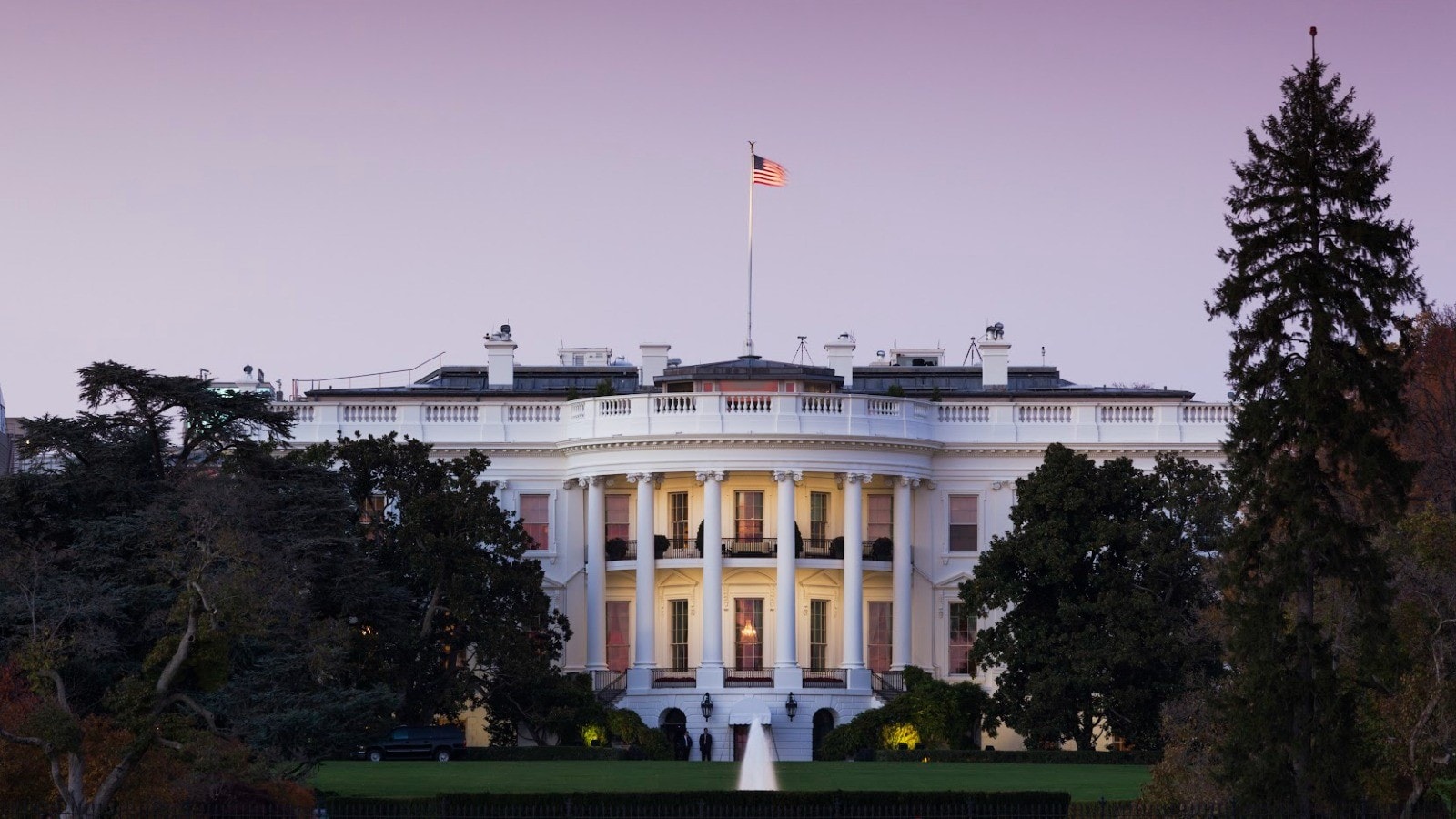 Det Amerikanske Valg 2024