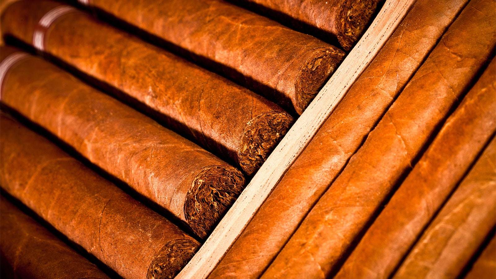 Сигара текстура. Scandinavian Tobacco Group продукция. Трихинапольская сигара фото.